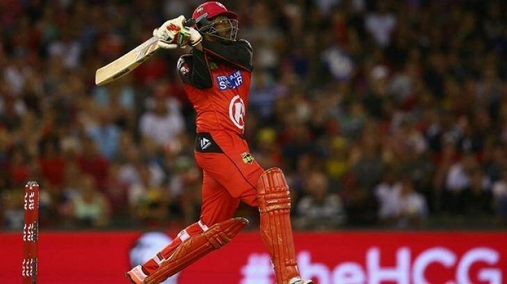 Chris Gayle lit up Etihad Stadium with a new Big Bash League record for the fastest half-century, taking 12 balls. He ultimately made 56 from 17 balls. Photo: Robert Cianflone - CA