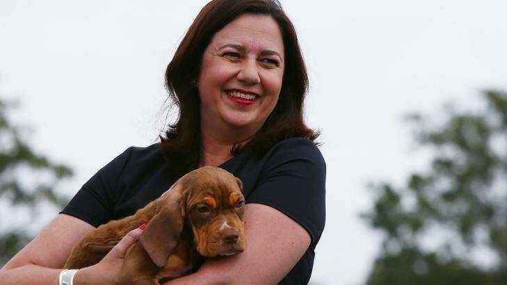 Premier Annastacia Palaszczuk has announced a $2000-a-year payment to foster carers. Photo: Lisa Maree Williams