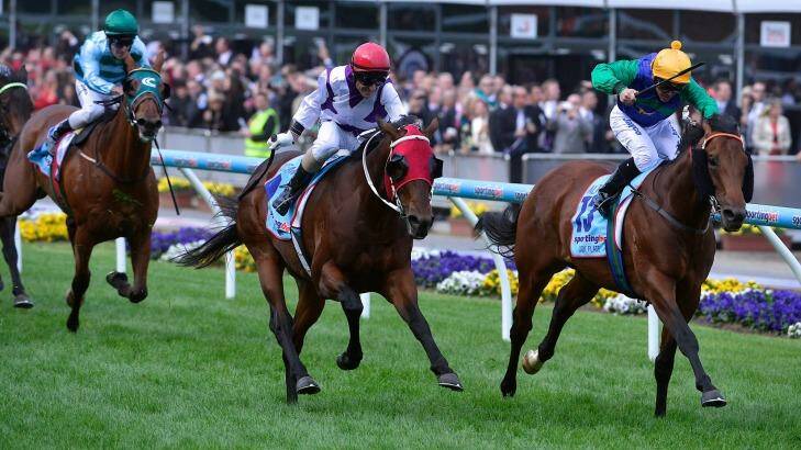 All too easy: Ocean Park, centre, takes the Cox Plate ahead of All Too Hard, rails, in 2012. Photo: Pat Scala 