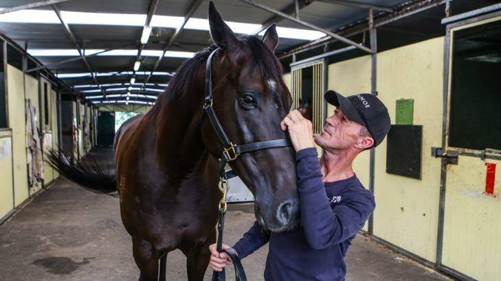 Taking over the reins: Former jockey and now trainer Peter Robl. Photo: Dallas Kilponen