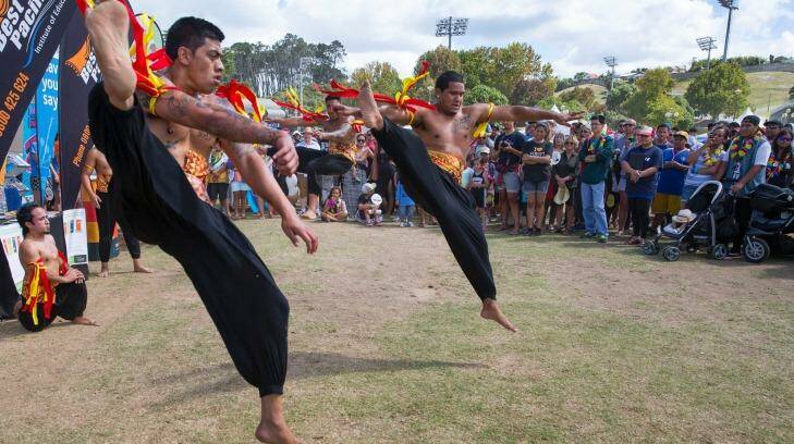 Auckland's annual Pasifika Festival may have to leave its Western Springs home this year due to the recent fruit fly outbreak.  Photo: Peter Meecham