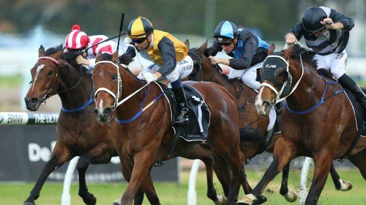 On track: Mackintosh wins the Theo Marks Stakes at Rosehill. Photo: bradleyphotos.com.au