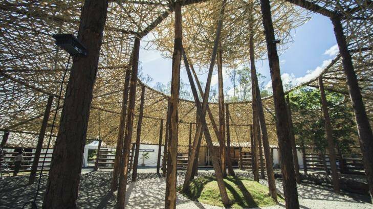 Sydney architect firm Cave Urban's temporary bamboo structure, Woven Cloud, at the Woodford Folk Festival in 2014-2015 Photo: Steve Swayne