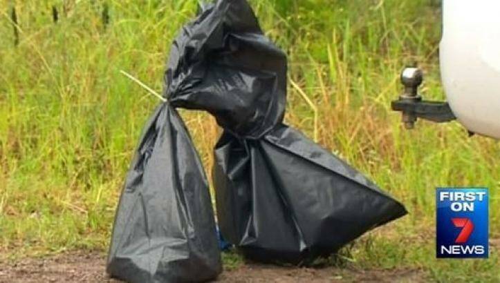 The bodies of at least 55 greyhounds were found in central Queensland bushland. Photo: Seven News Brisbane