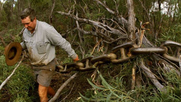 The tree clearing debate in Queensland is once again raging. Photo: Angela Wylie