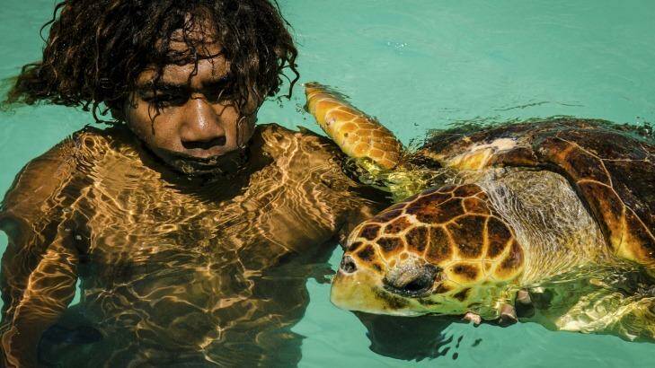 Close contact: If the turtles are feeling friendly, you can join them for a swim as shown by this boy with a loggerhead turtle in waters off Isle of Pines. Photo: Arno Photographie