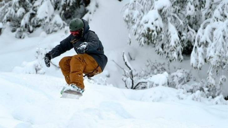Snowboarder rides the powder snow at Falls Creek. Photo: Chris Hocking