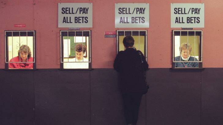 Betting windows at a greyhound racing track. Photo: File photo
