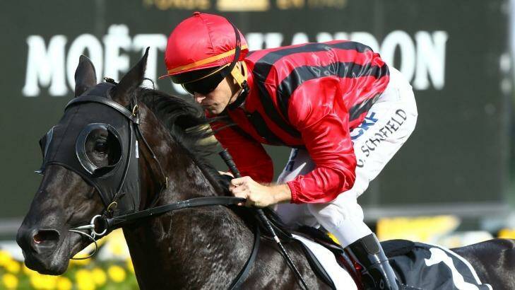On a winner: Prized Icon has continued Anthony Cummings' great run. Photo: bradleyphotos.com.au