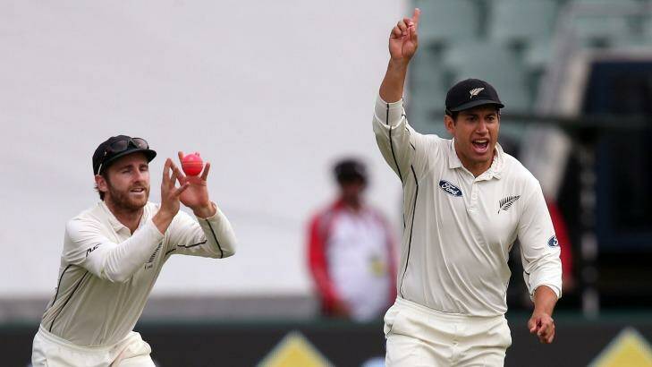Harsh call: Kane Williamson makes the catch, while Ross Taylor appeals, believing they had claimed the wicket of Nathan Lyon.