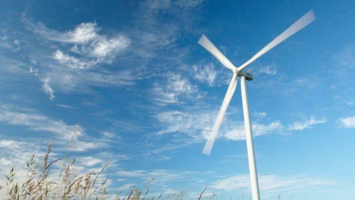 Wind farms supply more than 40 per cent of South Australia's electricity and have become a political hotspot.