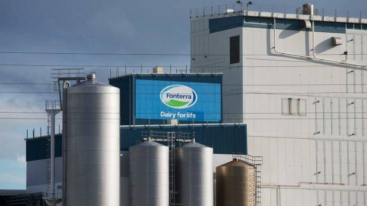Fonterra is the world's top dairy exporter and it has boosted its sway over Australia's dairy industry with a deal with Bellamy's. Photo: BRENDON O'HAGAN
