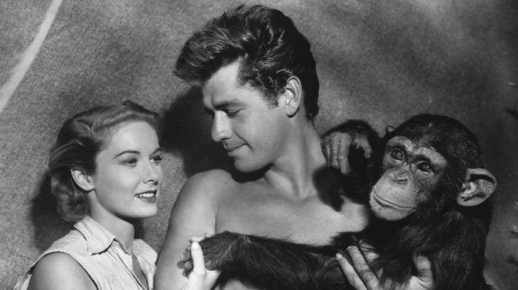 In this photo released in 1955 by RKO, Gordon Scott, the screen's eleventh Tarzan, makes his debut as Tarzan in <i>Tarzan's Hidden Jungle</i>," as he is shown in this undated photo with actress Vera Miles who plays UN nurse, and Zippy, the chimp, as Cheta. 