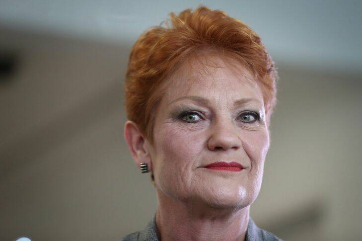 One Nation Senator Pauline Hanson during media interviews in the Press Gallery at Parliament House in Canberra on Monday 16 October 2017. fedpol Photo: Alex Ellinghausen