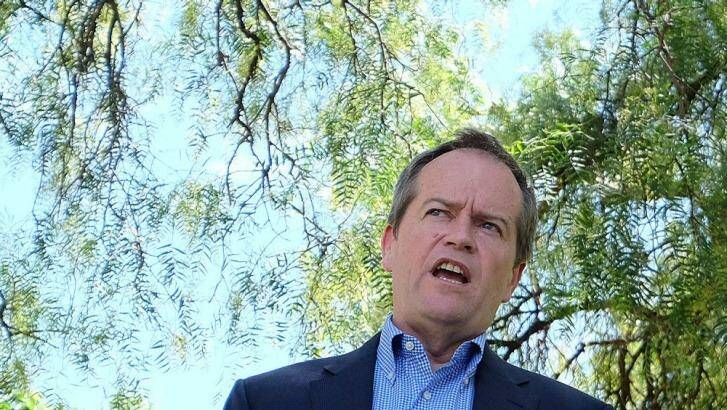Opposition Leader Bill Shorten says Peta Credlin isn't to blame for Prime Minister Tony Abbott's mistakes. Photo: Luis Ascui