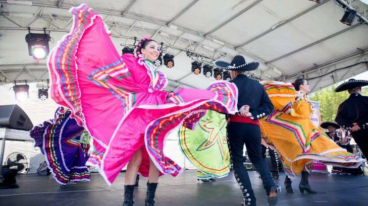 There was plenty of colourful dancers. Photo: Tammy Law
