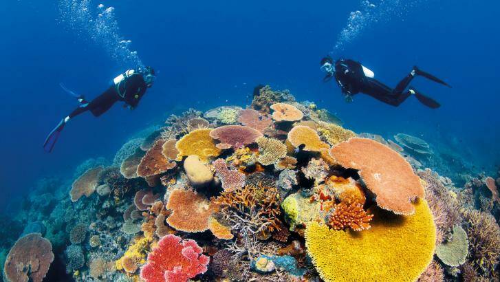The Great Barrier Reef is one of Queensland's major tourist drawcards. Photo: Tourism and Events Queensland