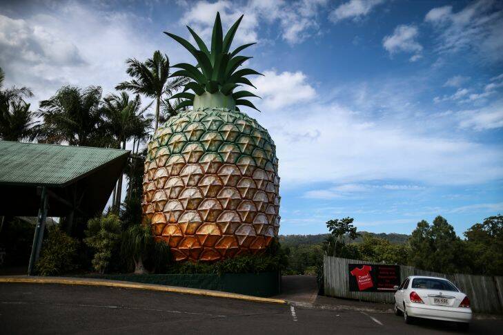 The Big Pineapple in Woombye. Series on Australia's 'big things' along the highway from NSW to Queensland. Photo: Alex Ellinghausen
