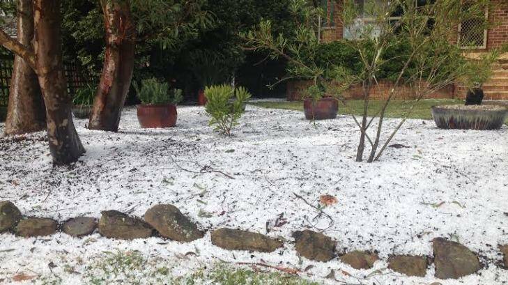 Hail in the mid-mountains to Sydney's west. Photo: Saffron Howden