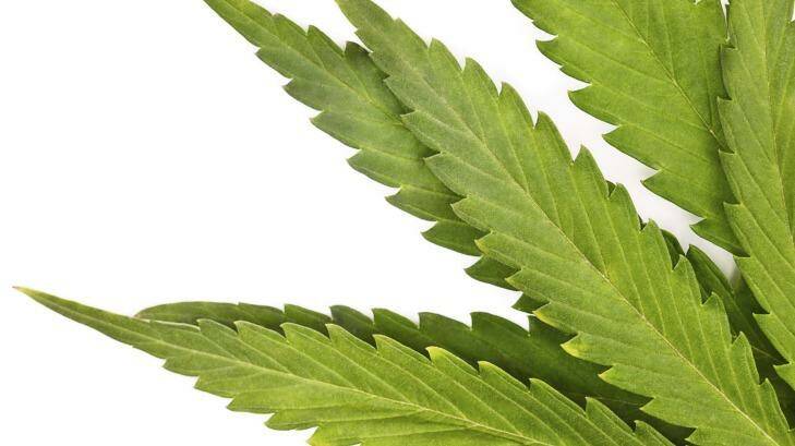 A schoolboy was caught with a small amount of cannabis. Photo: Thinkstock