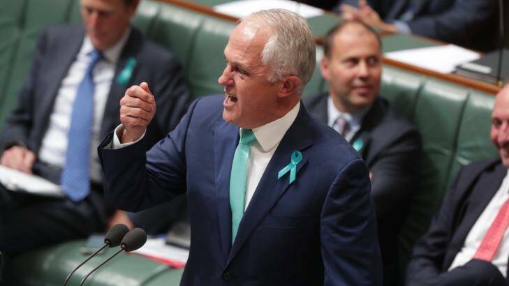 Malcolm Turnbull called Bill Shorten a 'parasite'. Photo: Andrew Meares