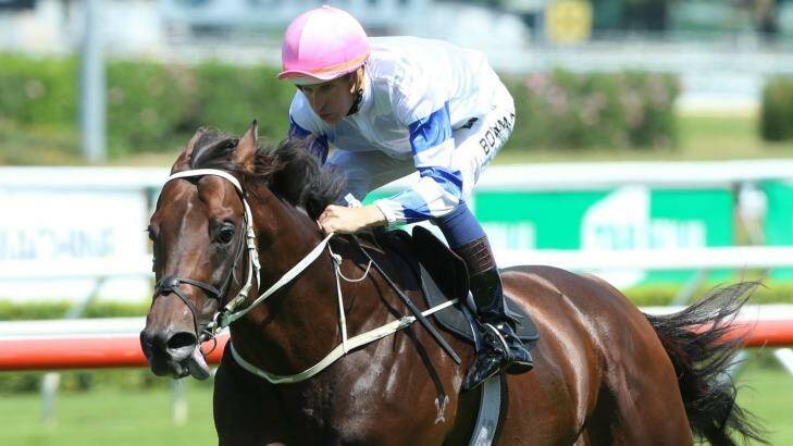 Autumn chance: Hugh Bowman and Kermadec will take on the All Aged Stakes.  Photo: bradleyphotos.com.au