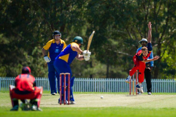 Cricket ACT John Gallop Cup Tuggeranong Vs North Canberra-Gungahlin 2017. Charlie Morris looking for the wickets.  Photo: Dion Georgopoulos