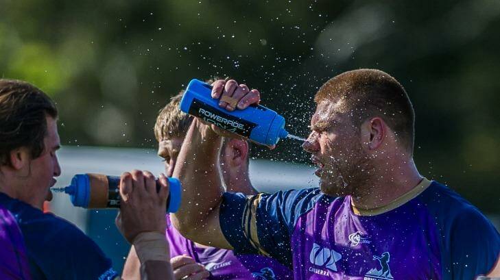 The Brumbies were pushed to the limit in the heat on Monday. Photo: Karleen Minney