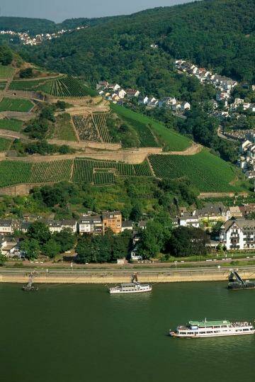 Wine region: Cruising the Rhine takes in the sights of Assmannshausen on its banks, renowned for its red wine. Photo: German National Tourist Office
