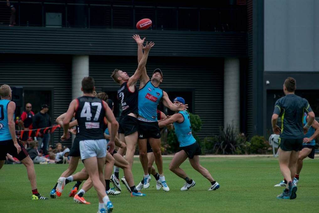 Back on track: Bombers players at pre-season training on Tuesday. Photo: Jesse Marlow