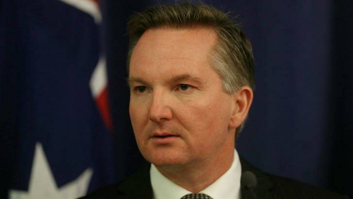 "It really is sheer madness for the government to be pursuing a $50 billion tax cut for big business at this time": Labor's treasury spokesman Chris Bowen. Photo: Alex Ellinghausen