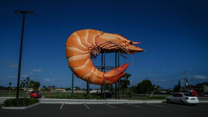 The Big Prawn in Ballina. Series on Australia's 'big things' along the highway from NSW to Queensland. Photo: Alex Ellinghausen