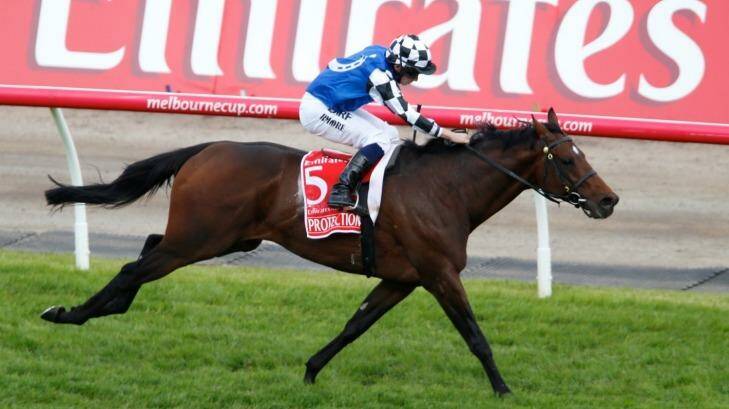 Protectionist winning the 2014 Melbourne Cup. Photo: Eddie Jim