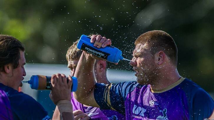 The Brumbies are facing a hot battle against the NSW Waratahs on Saturday. Photo: Karleen Minney