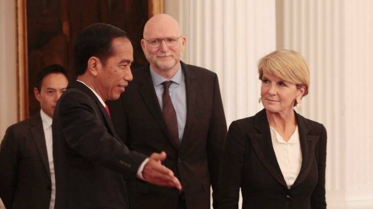 Australian Foreign Minister Julie Bishop meets Indonesia's President Joko Widodo this week. Photo: IRWIN FEDRIANSYAH