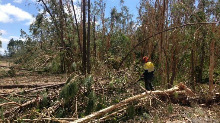 Queensland Parks and Wildlife Service staff assisting with recovery work at Byfield. Photo: Queensland Parks and Wildlife Se