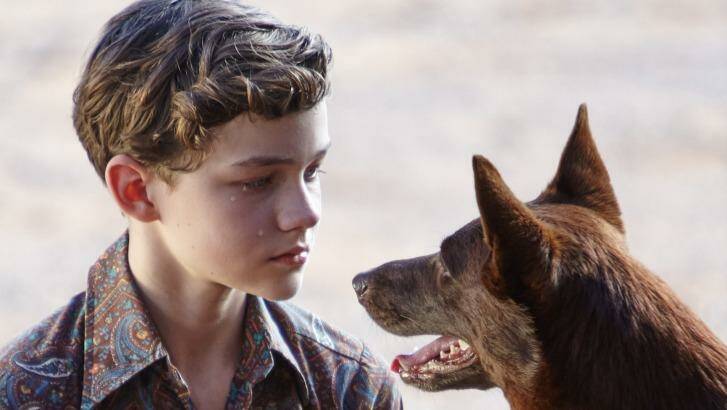 Levi Miller and canine friend in <i>Red Dog: True Blue</i>. Photo: Roadshow Films