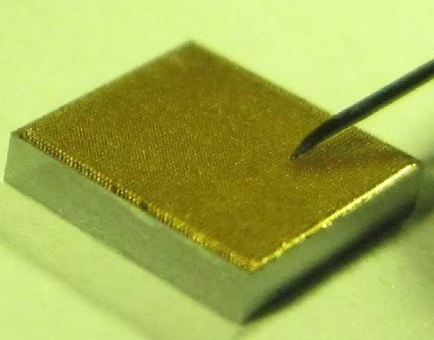 A 4mm square gold-coated microneedle array next to a 31-gauge needle used to extract fluid. Photo: Alexandra Depelsenaire