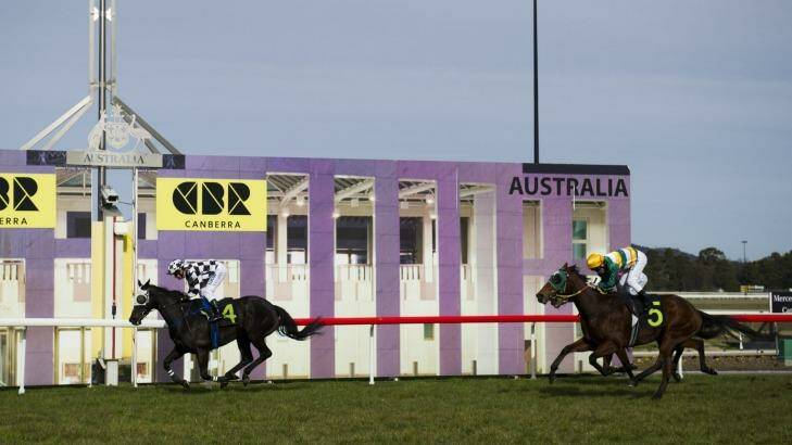 Racing returns to the capital this Friday. Photo: Rohan Thomson