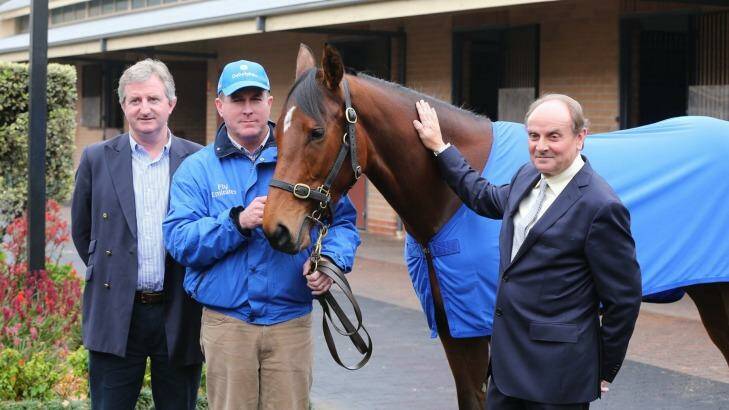 Track concerns: The Godolphin stable tried to scratch Mogador from the Healy Stakes on Saturday.  Photo: Anthony Johnson 