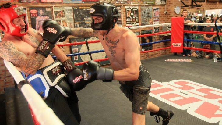 New Gym: Shows boxers Jack Brubaker (right) and Davey Browne sparring at Ryan Waters new gym. Picture Chris Lane