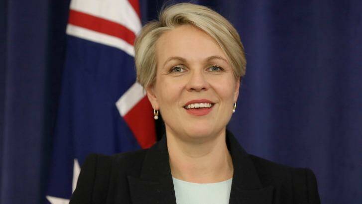 Federal deputy Labor leader Tanya Plibersek says Labor's system of quotas and targets is why the party has more female MPs than the Liberal Party. Photo: Alex Ellinghausen