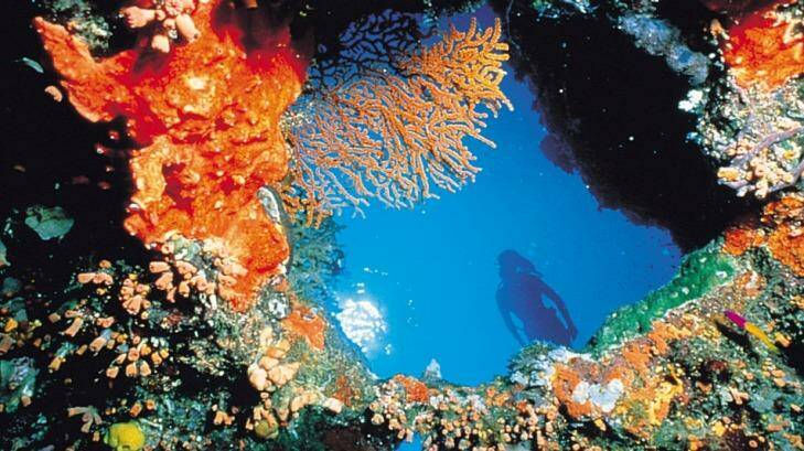 The state government has wooed UNESCO head Irina Bokova regarding the Great Barrier Reef. Photo: Fairfax Media