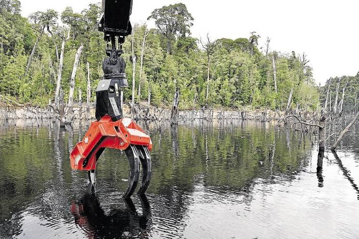 INNOVATIVE: SFM Hydrowood will use a telescopic arm to lift trees from Lake Pieman, after they have been submerged for 20 years. Pictures: Brodie Weeding.