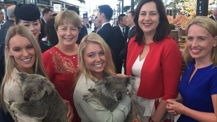 Premier Annastacia Palaszczuk, Tourism Minister Kate Jones and Brisbane Airport Corporation chief executive Julieanne Alroe mark the first-ever direct flights Shanghai and Brisbane with Australia Zoo koala handlers Jess Sullivan and Becky-Jo Quinn. Photo: Tony Moore