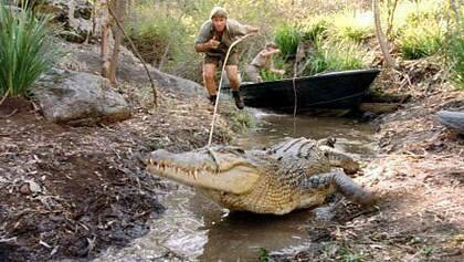 Steve Irwin the Crocodile Hunter.