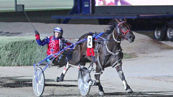 Impending ban: United Harness Racing Association opposes the proposed whip ban but says there should be harsher penalties for those breaking the rules. Photo: Stuart McCormick
