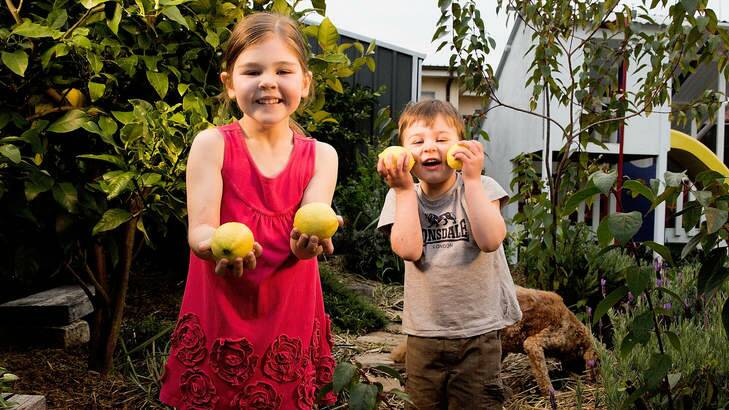 Zara Alcock, 6, and her brother Henry, 3, in their garden. Photo: Michele Mossop