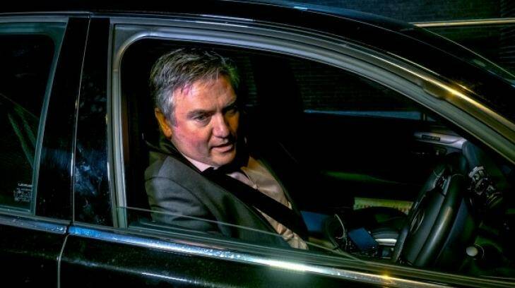 Holden is yet to meet with Eddie McGuire over his controversial comments. Photo: Luis Ascui