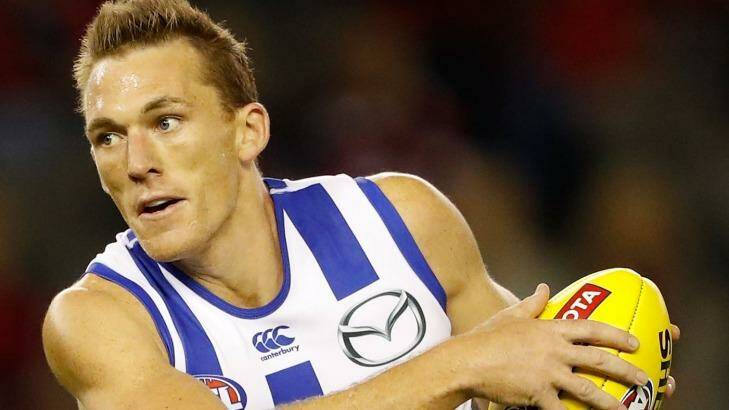 North Melbourne veteran and AFLPA board member Drew Petrie is pushing for a fixed percentage of revenue. Photo: AFL Media/Getty Images